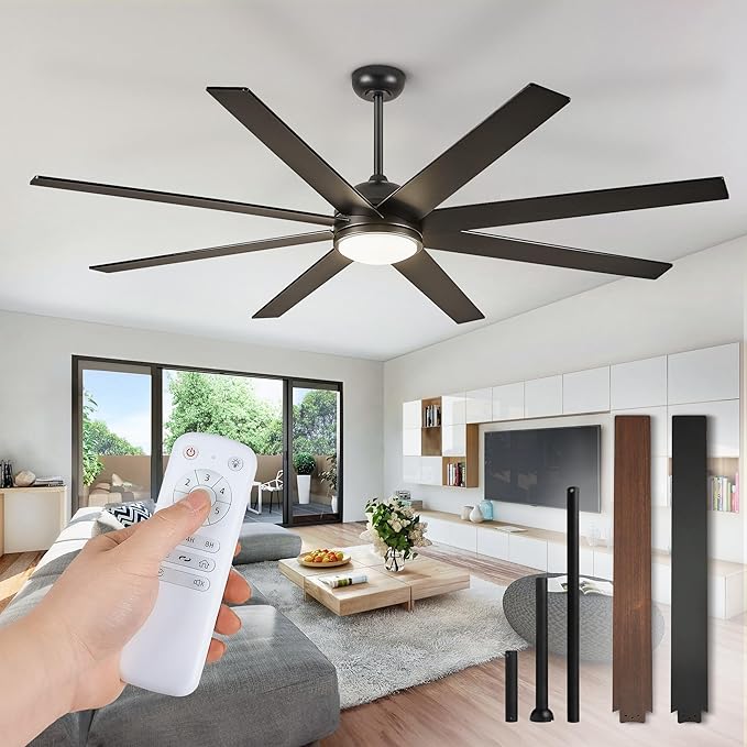 Fan